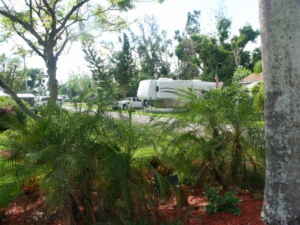picture-300x225