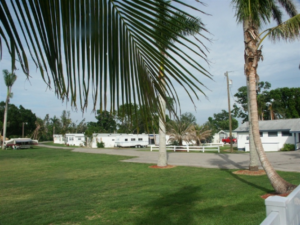 picture1-300x225