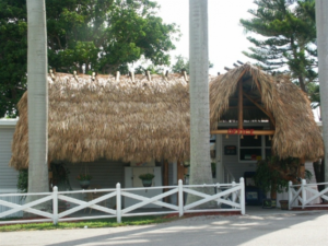 picture2-300x225