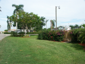 picture3-300x225